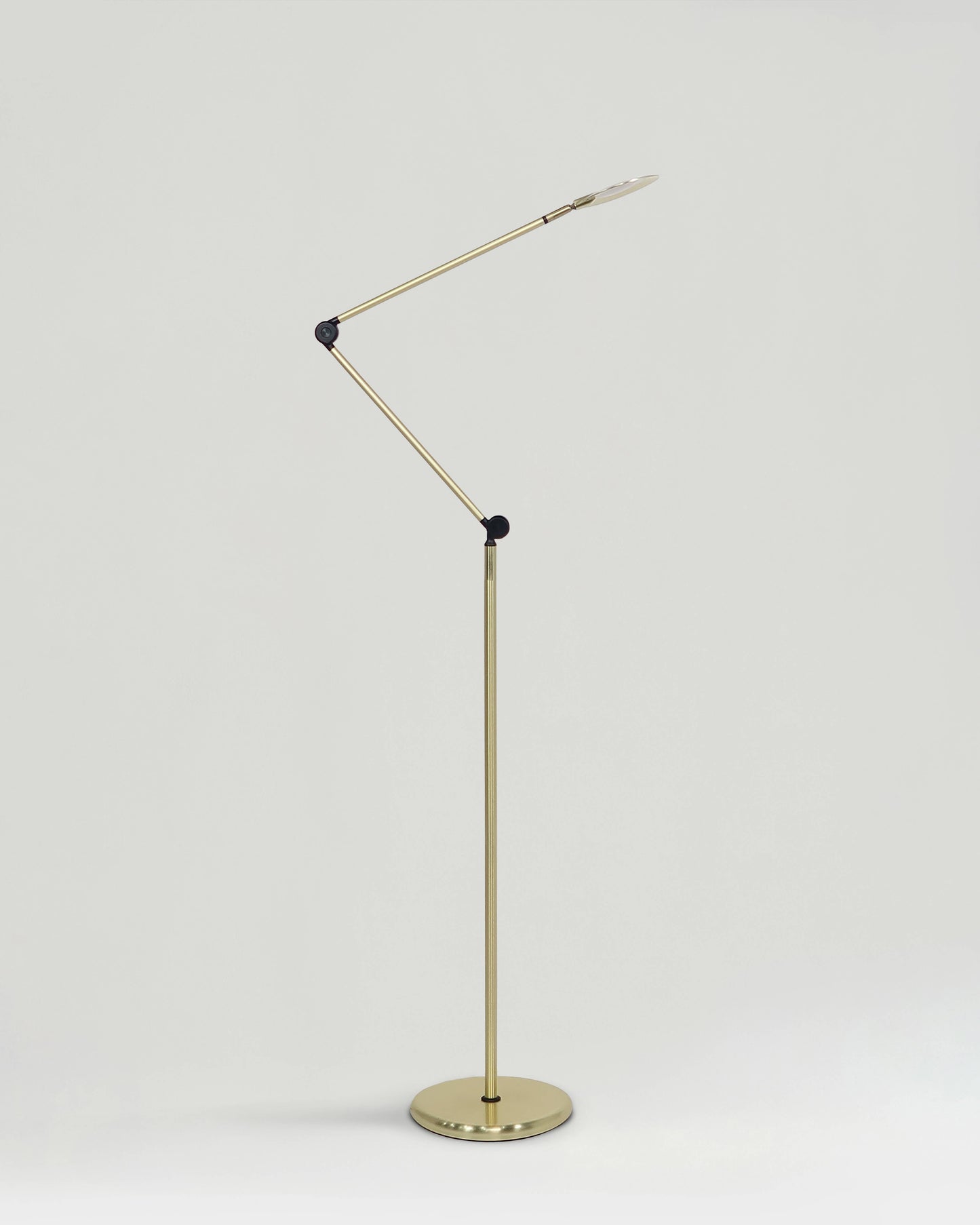 Sage 2-in-1 LED Floor and Table Lamp